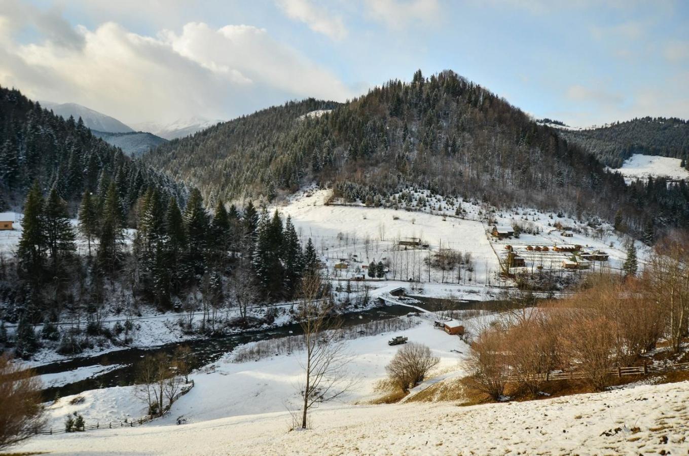Campsite Camp Bilyi Slon Dzembronia